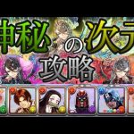 【パズドラ】神秘の次元！全敵対応！ロザリンPTで攻略！