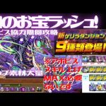 闇のお宝ラッシュ！暗影蛇アポピス協力楽々周回！【パズドラ紫の宝窟】