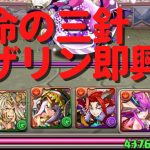 【パズドラ】即興ハイビスカス(ロザリン)パーティで運命の三針に挑戦してみた。