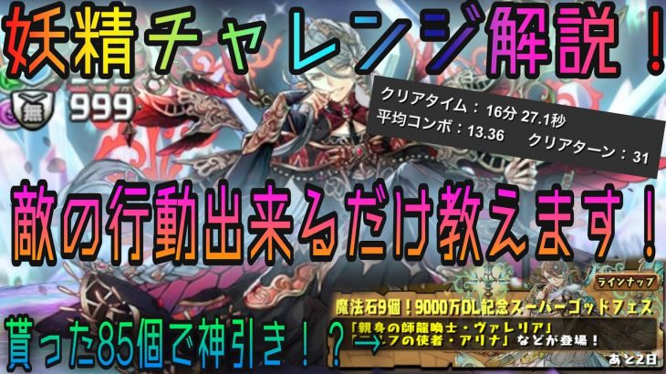 【パズドラ】神秘の次元【ノーコン】次元の案内人攻略！敵の行動、立ち回り解説します！【妖精チャレンジ】