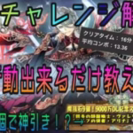 【パズドラ】神秘の次元【ノーコン】次元の案内人攻略！敵の行動、立ち回り解説します！【妖精チャレンジ】