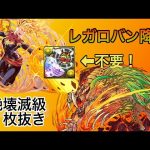 【確定スキルアップ】レガロバン１枚抜き安定周回　マーベルループ×エクレール【パズドラ】