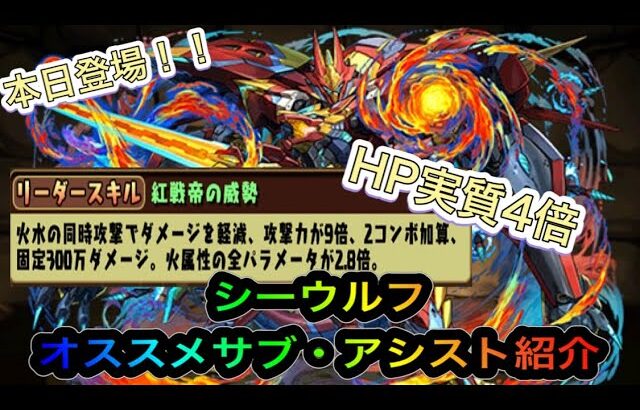 【パズドラ】本日のガチャから登場！新フェス限シーウルフテンプレ紹介！