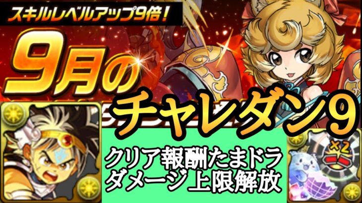 【チャレダン9】9月チャレンジダンジョン9をダイで攻略【パズドラ】【ダイの大冒険】