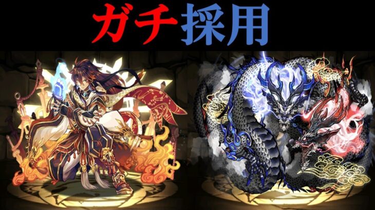 【パズドラ】裏神秘の次元　神ドラゴン強化　シーウルフ周回編成　リュウウンサイがとんでも火力