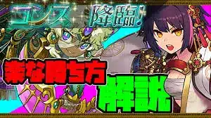 セイナPTが強い！必殺技でノーコン安定　コンス降臨攻略　立ち回り解説　パズドラ