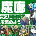 ルーレット対策有！ノーチラス最新版裏魔廊の支配者周回解説！【あっき〜パズドラ】