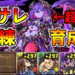 【パズドラ】シヴィニアの強化が熱すぎる！片サレ極練を育成枠ありで周回！