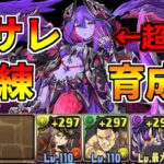 【パズドラ】シヴィニアの強化が熱すぎる！片サレ極練を育成枠ありで周回！