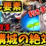 【隠し要素】機構城にリュウウンサイ入りロイヤルオーク×ナツルで行く！【パズドラ】