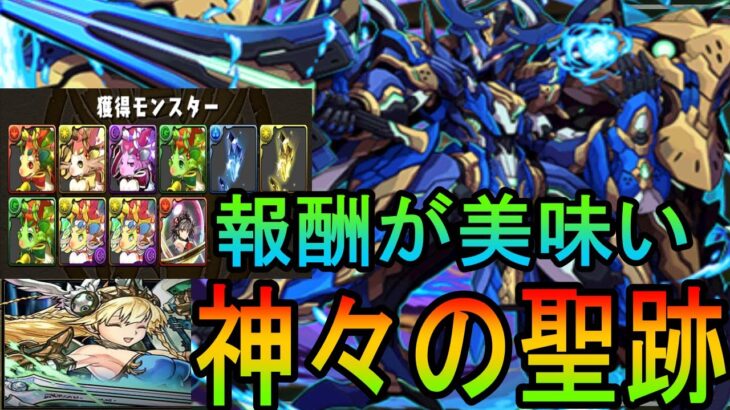 【神々の聖跡】新ダンジョン攻略？ロイヤルオークに決まってるだろー！！【パズドラ】