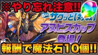 忘れかけてた8人サクッとで魔法石をゲット！！！アヌビス杯は立ち回りが簡単なので忘れずにやろう！！！【ふみパズ#419】