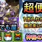 【パズドラ】1人でパーティの耐性を支えるフェノンが強い！（神秘の次元）