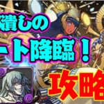 【ムート降臨】露骨な７６盤面潰し！虎杖真人で攻略！【パズドラ】