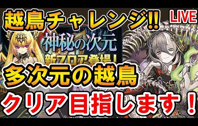 #4【越鳥チャレンジ】ミカゲで多次元の越鳥を全力でクリア目指します！！【神秘の次元新フロア】【生配信】【パズドラ】