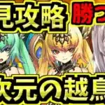 【多次元の越鳥】初見で称号チャレンジするよ！勝つまで！【パズドラ】