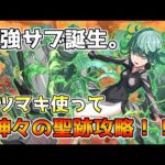 【パズドラ】かわいいこそ正義！！タツマキ入りノーチラス×メノアPTでヴァルキリーCIER降臨攻略＆解説！！！