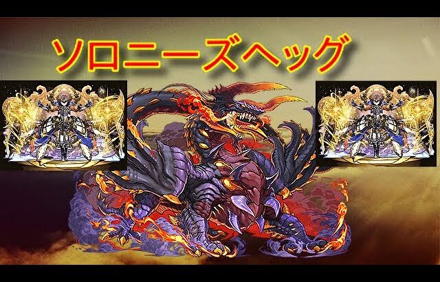 パズドラ ソロでも出来るニーズヘッグ周回 Puzzle Dragons パズル ドラゴンズ パズドラ 動画配信まとめ