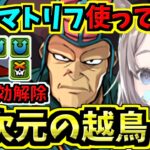 【多次元の越鳥】究極マトリフ使ってみる！アトリ！毒枠・３ターン覚醒無効解除！ダイの大冒険コラボ【パズドラ】