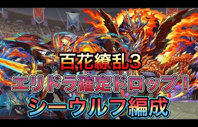 【百花繚乱3】レアドラゴンを乱獲！シーウルフで簡単周回！