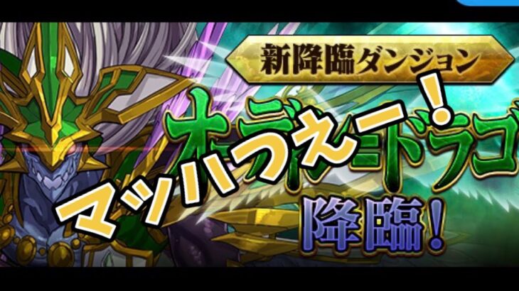 パズドラ　オーディンドラゴン降臨！マッハがいればいける！