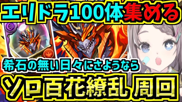 エリスドラゴン100体集める！ミストバーン×ブラックバード周回編成！ソロ百花繚乱３！【パズドラ】