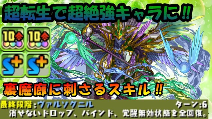 【パズドラ】超転生で強キャラに‼超転生オーディン₌ドラゴン使ったメノア×ノーチラスPTで裏魔廊周回‼