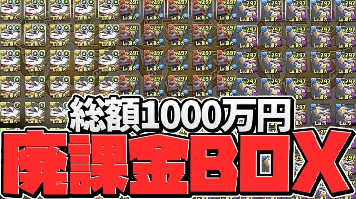 【廃課金】パズドラに1000万円課金するとBOXはこうなります。【BOX紹介】【パズドラ】