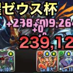 【パズドラ】覚醒ゼウス杯　自前ガチャ限なし　239,129点　【ランダン】