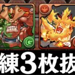 【パズルなし】獄練3枚抜き周回エンデヴァーPT解説！【パズドラ実況】