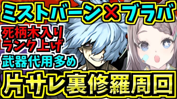 【片サレ裏修羅ランク上げ】死柄木弔入りミストバーン×ブラックバード周回編成！裏魔門の守護者！ヒロアカコラボ【パズドラ】