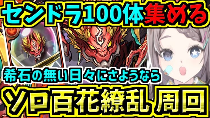 センリドラゴン100体集める！両ブラックバード周回編成！ソロ百花繚乱３！【パズドラ】