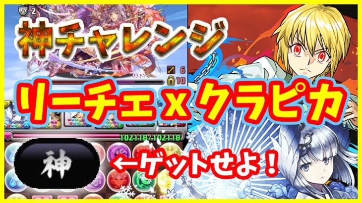 【パズドラ】称号「神」ゲットせよ！リーチェxクラピカで神チャレンジクリア！【実況】