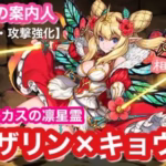 【パズドラ】強化されたハイビスカスの凛星霊・ロザリン×キョウリ編成で裏神秘の次元 裏次元の案内人(ドラゴン・回復強化)を安定攻略♪【星を紡ぐ精霊フェス】