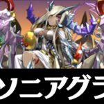 【極降臨】ソニアグラン降臨の簡易PT紹介（アシスト無効・ソロ限定）【パズドラ】