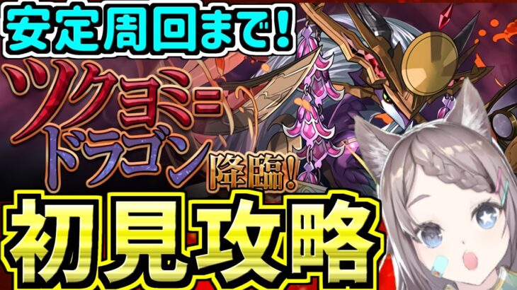 【ツクヨミドラゴン降臨】安定周回まで！アシスト無効【パズドラ】