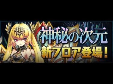 【パズドラ】多次元マルチ