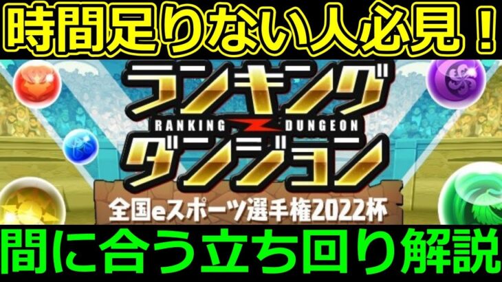 【全国eスポーツ選手権2022杯】時間足りない人向け！立ち回り解説！【ランダン】