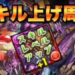 【パズドラ】スキル上げ周回も楽です【ツクヨミドラゴン降臨】元パズバト全国１位ノッチャが老眼に負けず頑張る動画 vol.984