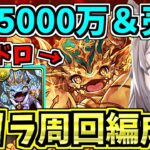 【激ウマ】リッチ確定＆1.5億コイン稼げる「キングダイヤドラゴンの逆襲」周回編成２パターン！【パズドラ】