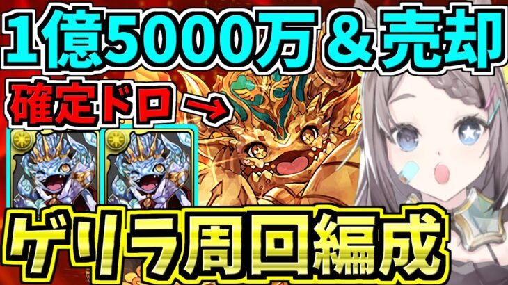 【激ウマ】リッチ確定＆1.5億コイン稼げる「キングダイヤドラゴンの逆襲」周回編成２パターン！【パズドラ】