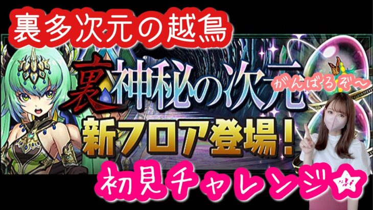 【パズドラ】裏多次元の越鳥にクロロ×ブラックバードで初見チャレンジしてみました♪【越鳥チャレンジ】