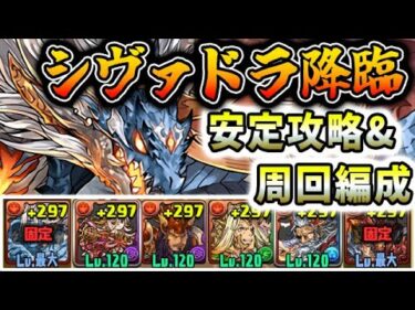 【低難易度編成】あのキャラが大活躍！！シヴァ＝ドラゴン降臨を安定攻略！！【パズドラ実況】