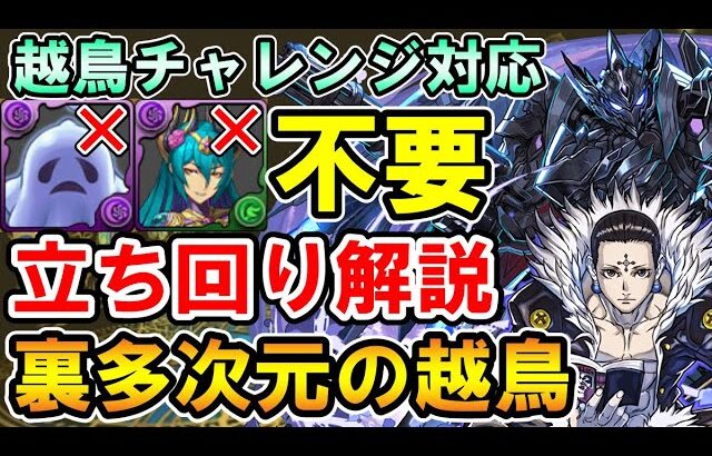 【裏多次元の越鳥】クロロ×ブラックバードで攻略!! 立ち回り解説 自陣クロロ無し【越鳥チャレンジ】【パズドラ】