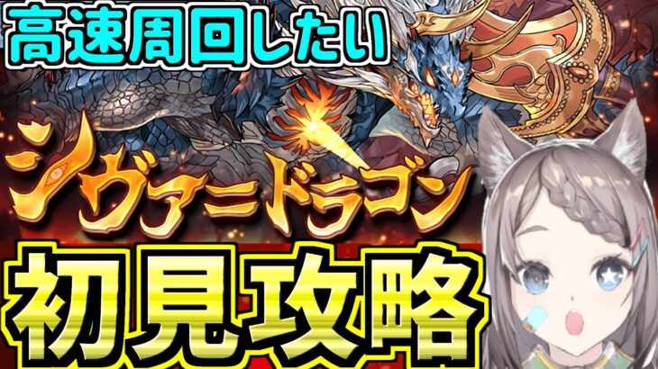 【シヴァドラゴン降臨】高速周回したい！初見攻略！アシスト無効【パズドラ】