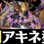 【3分台】ツクヨミドラゴンをワンパンするアキネ型周回編成！（パズルできれば）最適解かも【パズドラ実況】
