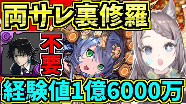 【両サレ裏修羅】経験値１億6000万！クロロ無しサフィーラ編成使ってみる！裏魔門の守護者【パズドラ】