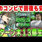 【四次元】蒙武の真の使い方こうじゃね？ベルテと合わせて木と回復を安定生成！！【パズドラ実況】