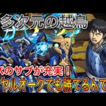 【裏多次元の越鳥】キングダム信を使ってロイヤルオークでクリア！水パのサブが充実！！【パズドラ実況】