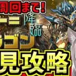 【ラードラゴン降臨】安定周回したい！初見攻略！アシスト無効【パズドラ】
